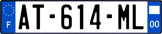 AT-614-ML