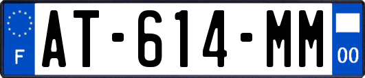 AT-614-MM