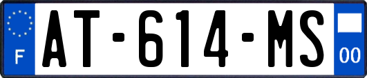 AT-614-MS