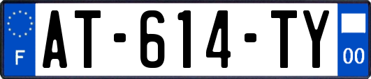 AT-614-TY