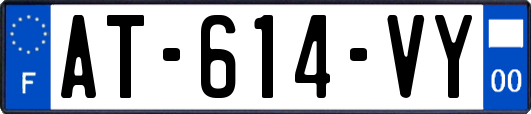 AT-614-VY