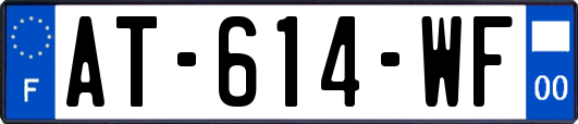 AT-614-WF