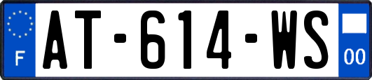 AT-614-WS