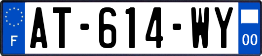 AT-614-WY