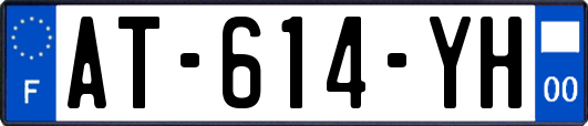 AT-614-YH