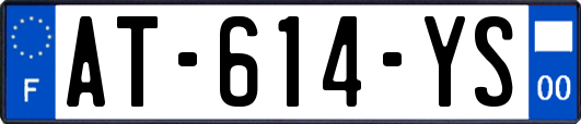 AT-614-YS