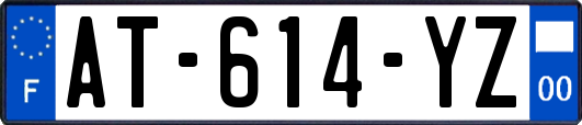AT-614-YZ