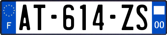 AT-614-ZS