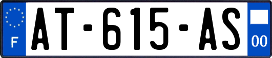 AT-615-AS