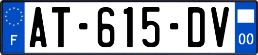 AT-615-DV