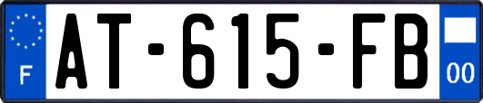 AT-615-FB