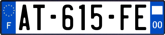 AT-615-FE
