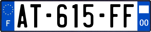 AT-615-FF