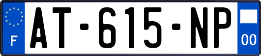 AT-615-NP