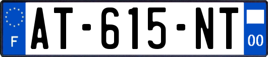AT-615-NT