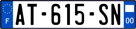 AT-615-SN