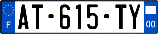 AT-615-TY