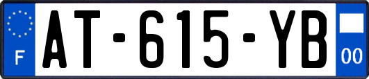 AT-615-YB
