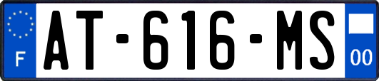 AT-616-MS
