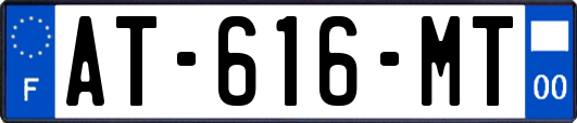 AT-616-MT