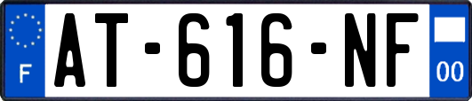 AT-616-NF