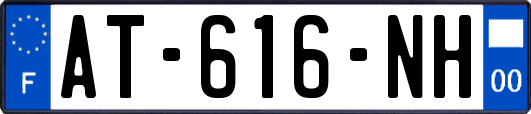 AT-616-NH