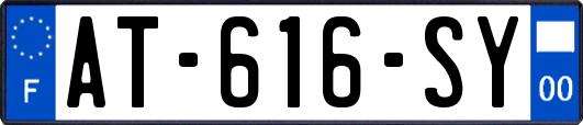 AT-616-SY