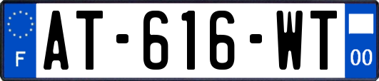 AT-616-WT