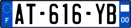 AT-616-YB