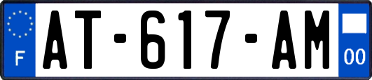 AT-617-AM