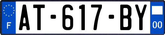 AT-617-BY
