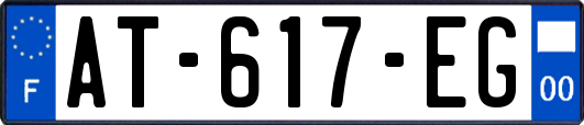 AT-617-EG