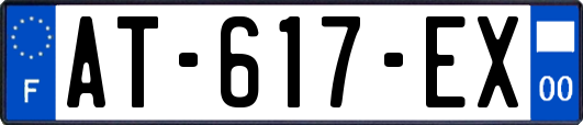AT-617-EX