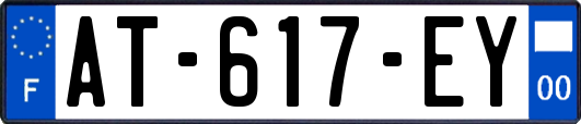 AT-617-EY