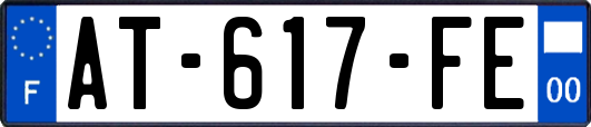 AT-617-FE