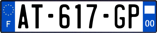 AT-617-GP