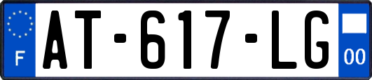 AT-617-LG