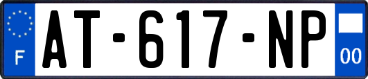 AT-617-NP