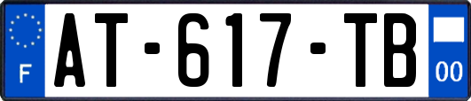AT-617-TB