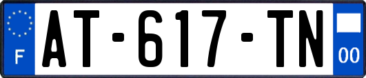 AT-617-TN
