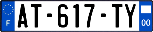 AT-617-TY