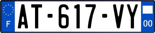 AT-617-VY