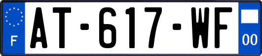 AT-617-WF