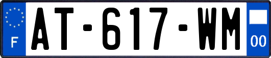 AT-617-WM