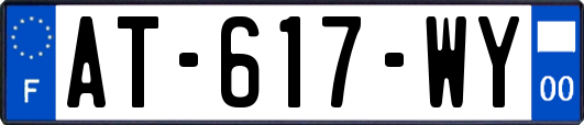 AT-617-WY