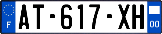 AT-617-XH