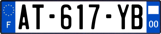 AT-617-YB