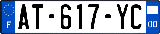 AT-617-YC