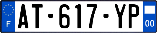 AT-617-YP