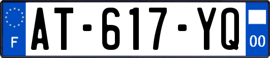 AT-617-YQ
